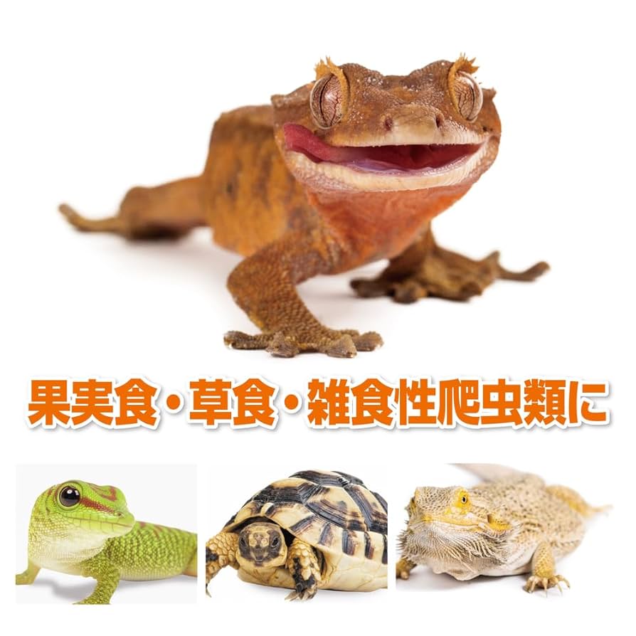 Amazon | 【ジェックス】RepDeli ダブルフルーツペースト バナナ