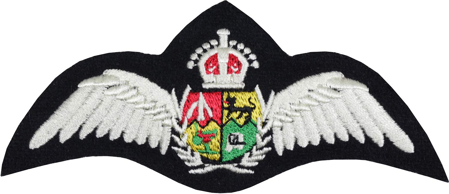 Epic Militaria Men's Multicolour Replica Ww2 South African Air Force Wings Patch