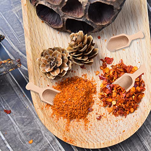 12 Pieces Mini Wooden Scoops For Canisters,Bamboo Spoons For Bath Salts Candy Spoon Coffee Spoon Washing Powder Spoon Spice Spoons For Sugar Scrubs, Cooking Mini Wooden Scoops For Canisters #TOP4