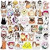 DETICKERS Dog and Cat Stickers for Kids Cute ...