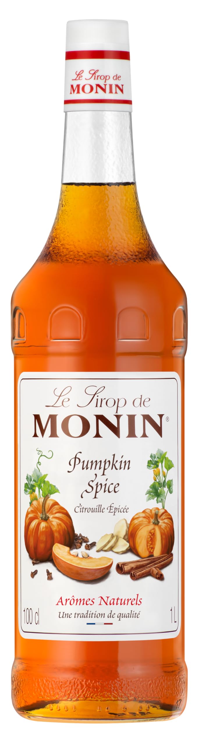 Monin Sirup Pumpkin Spice Kürbis 0,7 l