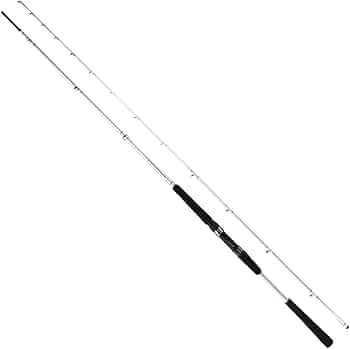 616x55HTAtL._AC_UF350,