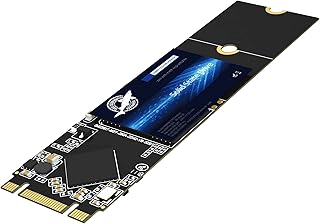SSD SATA M.2 2280 512GB Dogfish Ngff Internal Solid State Drive High Performance Hard Drive Desktop Laptop SATA III 6Gb/s (512GB,M.2 2280)