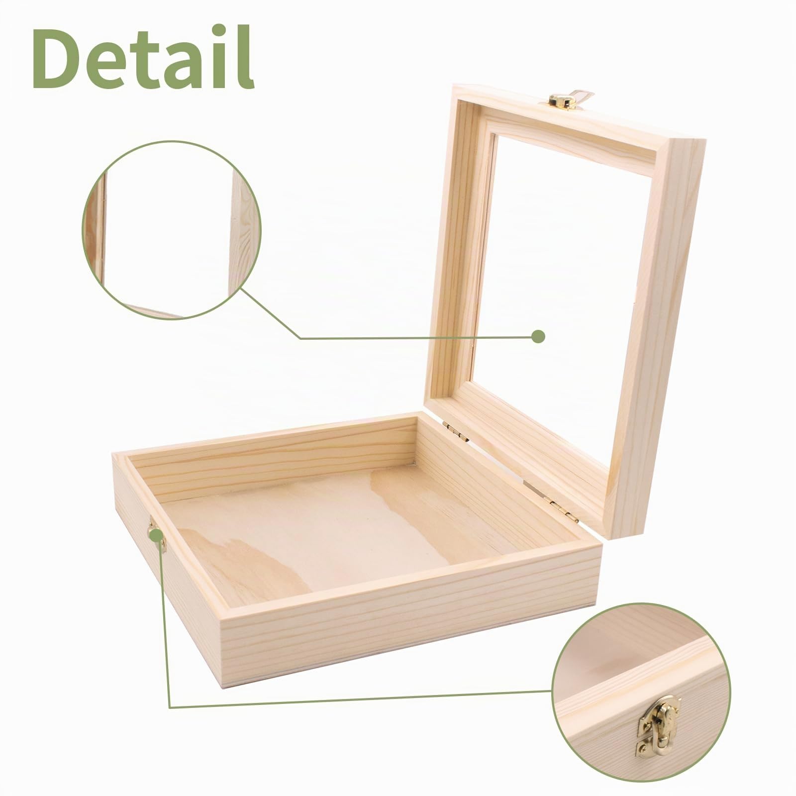 Insekt Vitrine Insektensammlung Herstellung von Insektenproben Werkzeug Kit Insektennadeln Insektensammlung Insekten Schaukasten für Bug Hobbyist