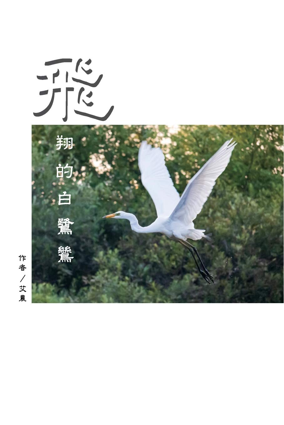 飛翔的白鷺鷥(繁體中文版): The Flying Egret (Traditional Chinese