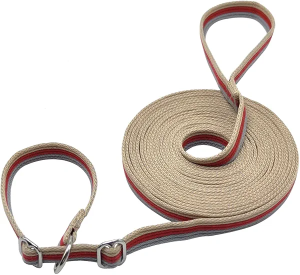 Boswany 10FT / 15FT / 20FT Anti-Choke Slip Lead Dog Leash, 1” Wide Soft Thick Long Training Leash for Strong Small Medium Large Dogs (red-20ft)