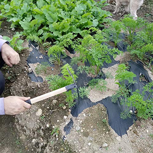 CLAIRLA Hand Mini Garden Hoes Dual Headed Weeding Tool - Carbon Steel Hoe/Tine Cultivator 3 Prongs Combo Garden Tools with Wood Handle (Pick Axes) - Thumbnail 2