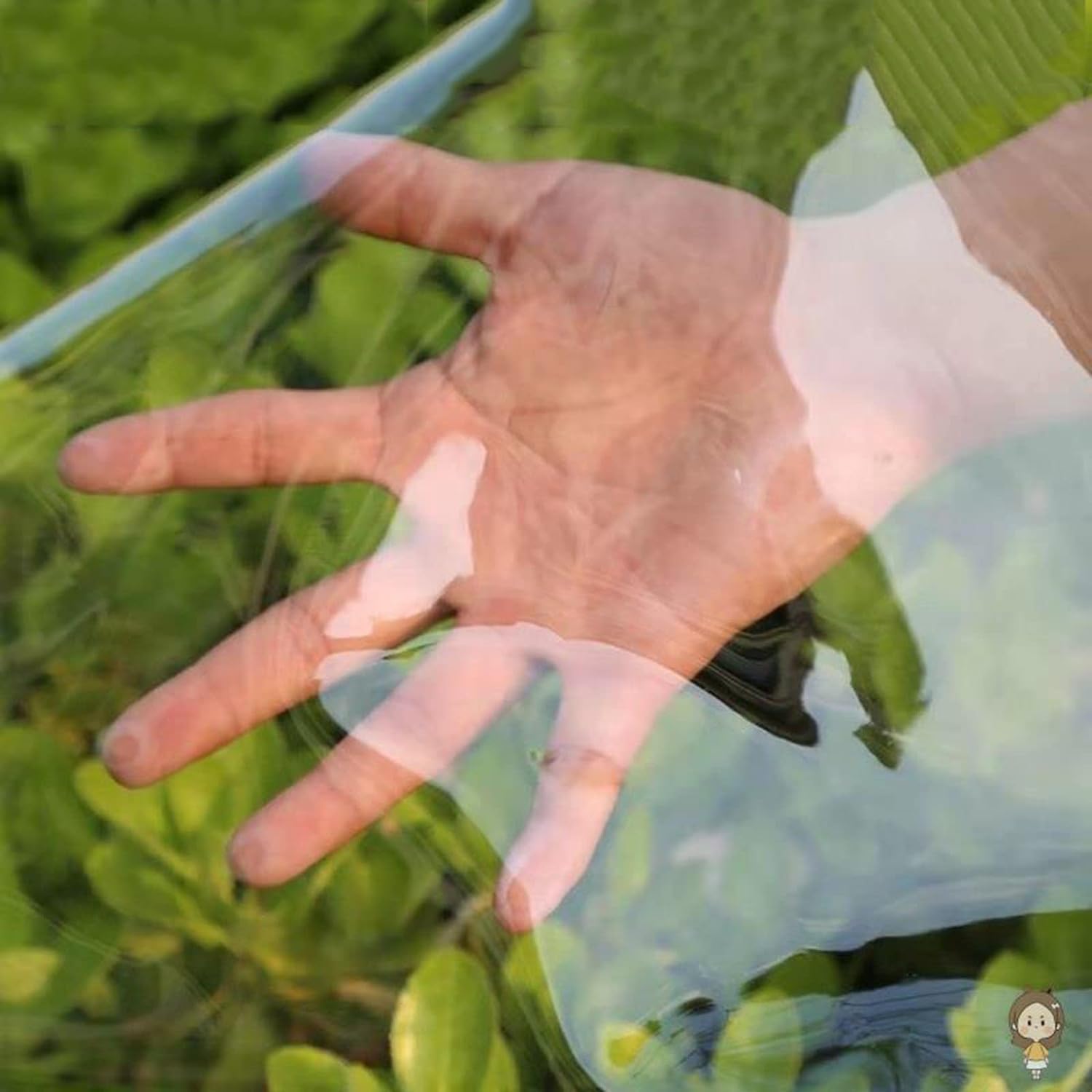 Stores enrouleurs Transparents, Stores enrouleurs extérieurs, Stores enrouleurs en Plastique Transparent for Cuisine intérieure et extérieure(1.0 * 2.0m)
