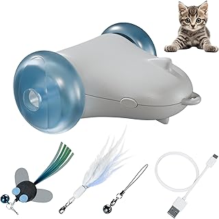 Rover Cat: A Purr-Fect Pet Companion? | PetShun