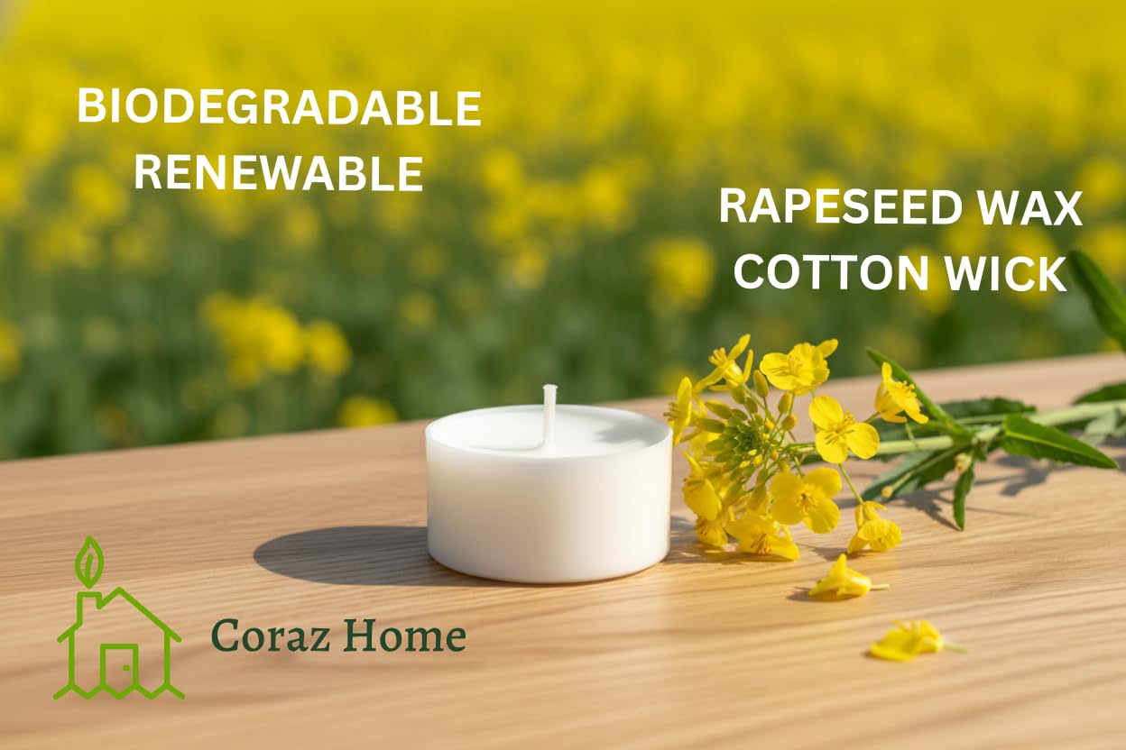 Velas Naturales en Taza Compostaje 80 Luces de Té Compostaje Industrial Candelitas Cera de Colza Luces Sin Perfume Sin plástico (80 Candelitas - 6 Horas)