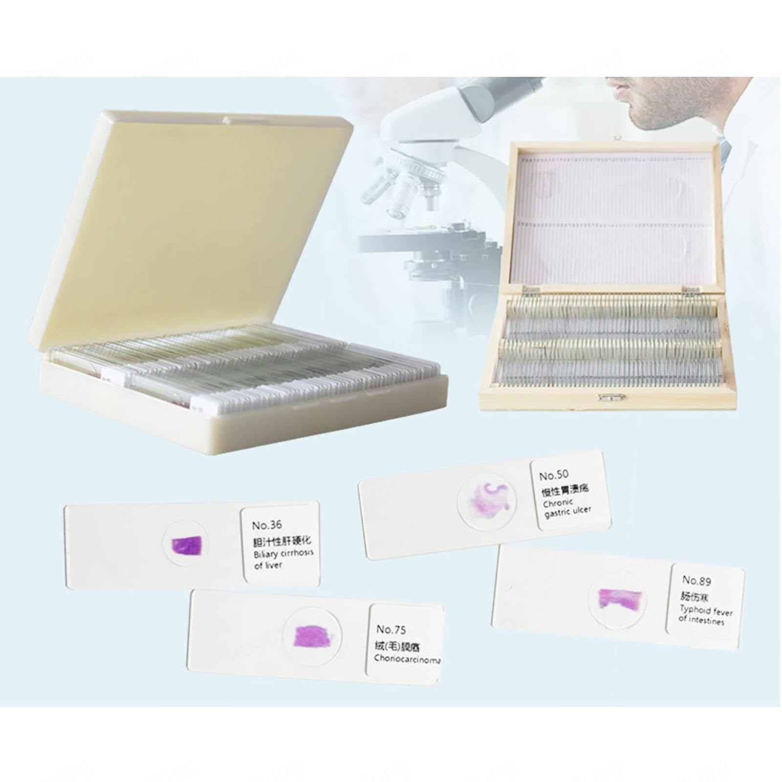 100 Piezas de Muestra de Sección Patológica Humana, Portaobjetos de Observación de Microscopio, Rebanadas Claramente Estructuradas, Material de Vidrio para Enseñanza de Educación de Estudios