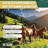 ALL-WIN Horse Meal Deal 15 kg | Haferfreies Pferdemüsli mit Apfel für hohe Schmackhaftigkeit | Reich an Vitamin E & Biotin | Ergänzungsfutter für Vitalität & Glanz