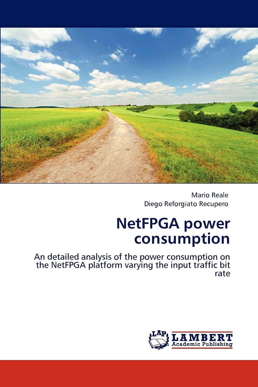 NetFPGA power consumption: An detailed analysis of the power consumption on the NetFPGA platform varying the input traffic bit rate