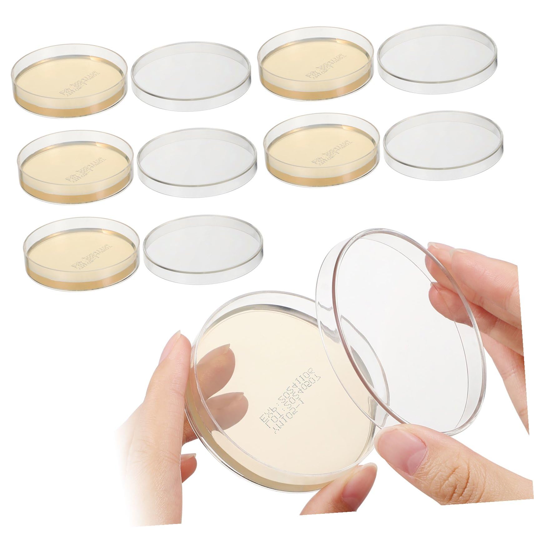 Piastre Petri di Agar Nutritivo 7cm, 10 Pezzi per Esperimenti