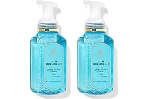 Bath & Body Works Gentle & Clean Foaming Hand Soap in Crisp Morning Air