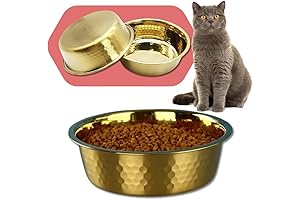 Golden Pair: Your Pawsome Pooch's New Stainless Steel Dining Delight