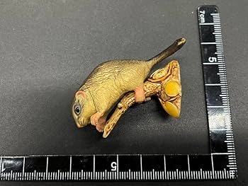 Amazon | 海洋堂 日本の天然記念物 ヤマネ 生物 KAIYODO