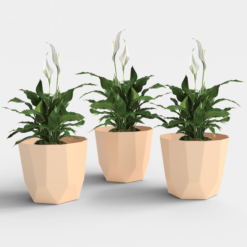 YUCCABE ITALIA SHERA Hexa Planters - Marble White -25 YUCCABE ITALIA SHERA Hexa Planters - Marble White -25