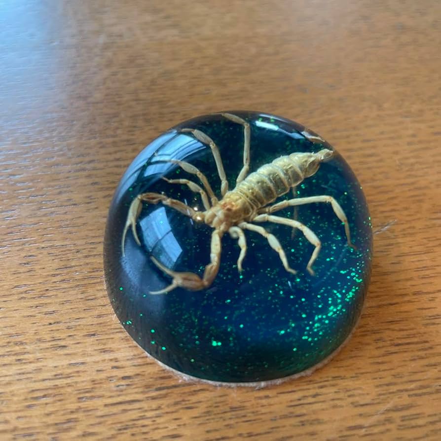 置き物　文鎮　ペーパーウエイト 南部鉄器 置物 文鎮 ペーパーウェイト 地蔵 その他雑貨 南部鉄器