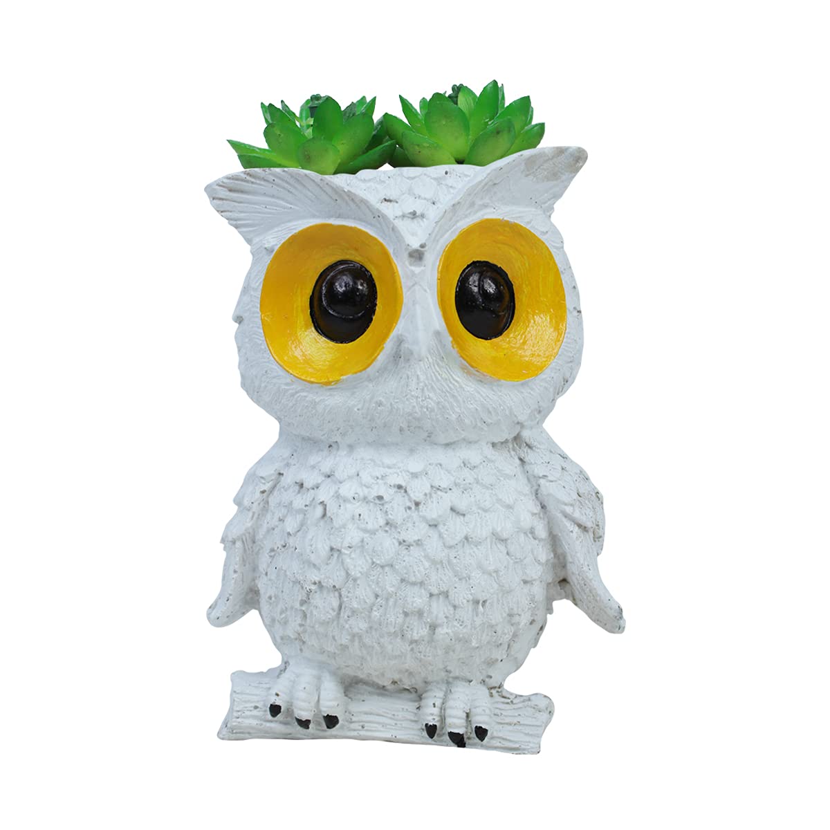 Wonderland Resin Owl Planter Flower pot for Home Decor, Garden Decoration, Balcony Decoration (White , Standard ), 1 Piece (B092SL5SBJ) Amazon Price History, Amazon Price Tracker