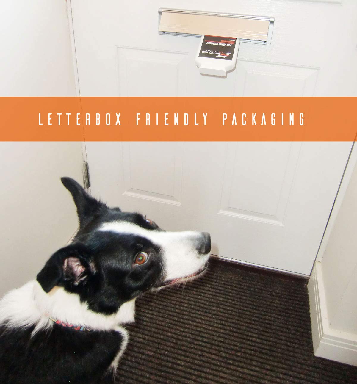 Buy Pet Calm Plus Dog Anxiety Tablets Pet Calming Supplement For