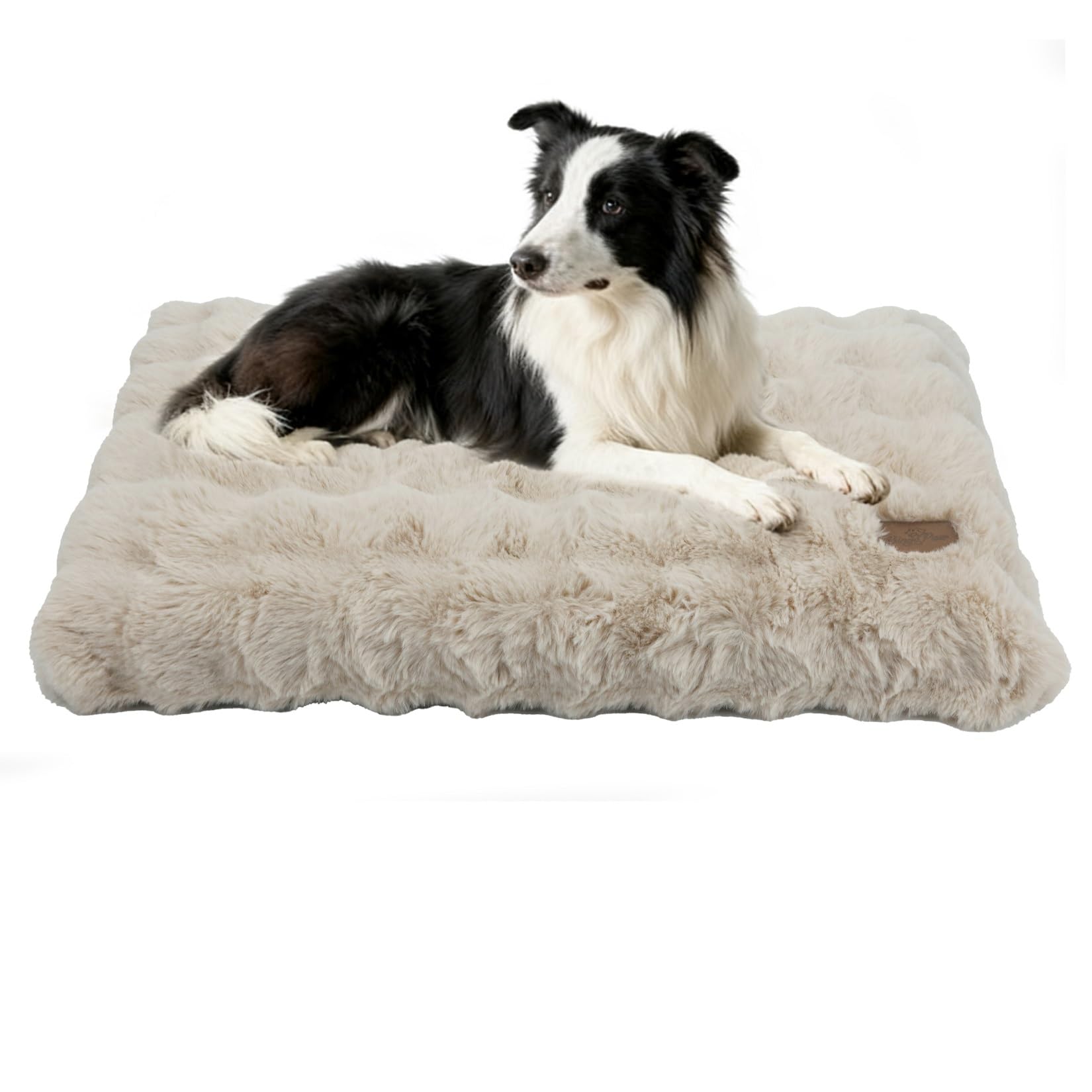 BingoPaw Large Dog Bed Washable: Calming Crate Mattress with Removable Cover and Anti-Slip Bottom, Fluffy Anti Anxiety Water Resistant Pet Beds, Puppy Pillow Cushion Beige, 90x60x10 cm