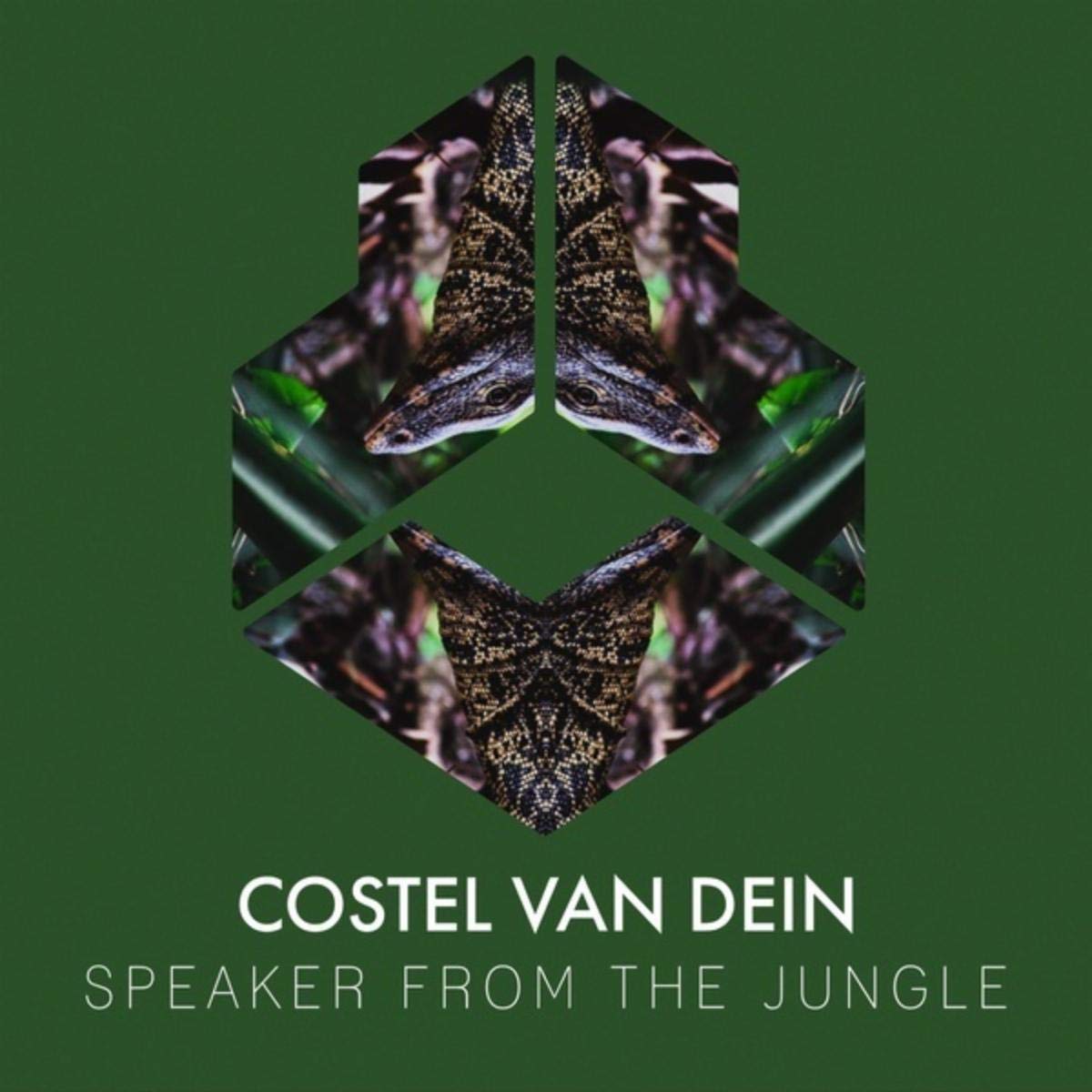 Costel Van Dein