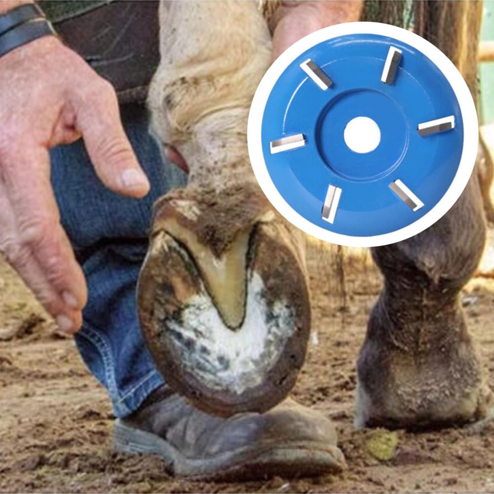 Disque de Coupe pour Chevaux, Chèvres, Bétail - Meulage et Polissage Lisse