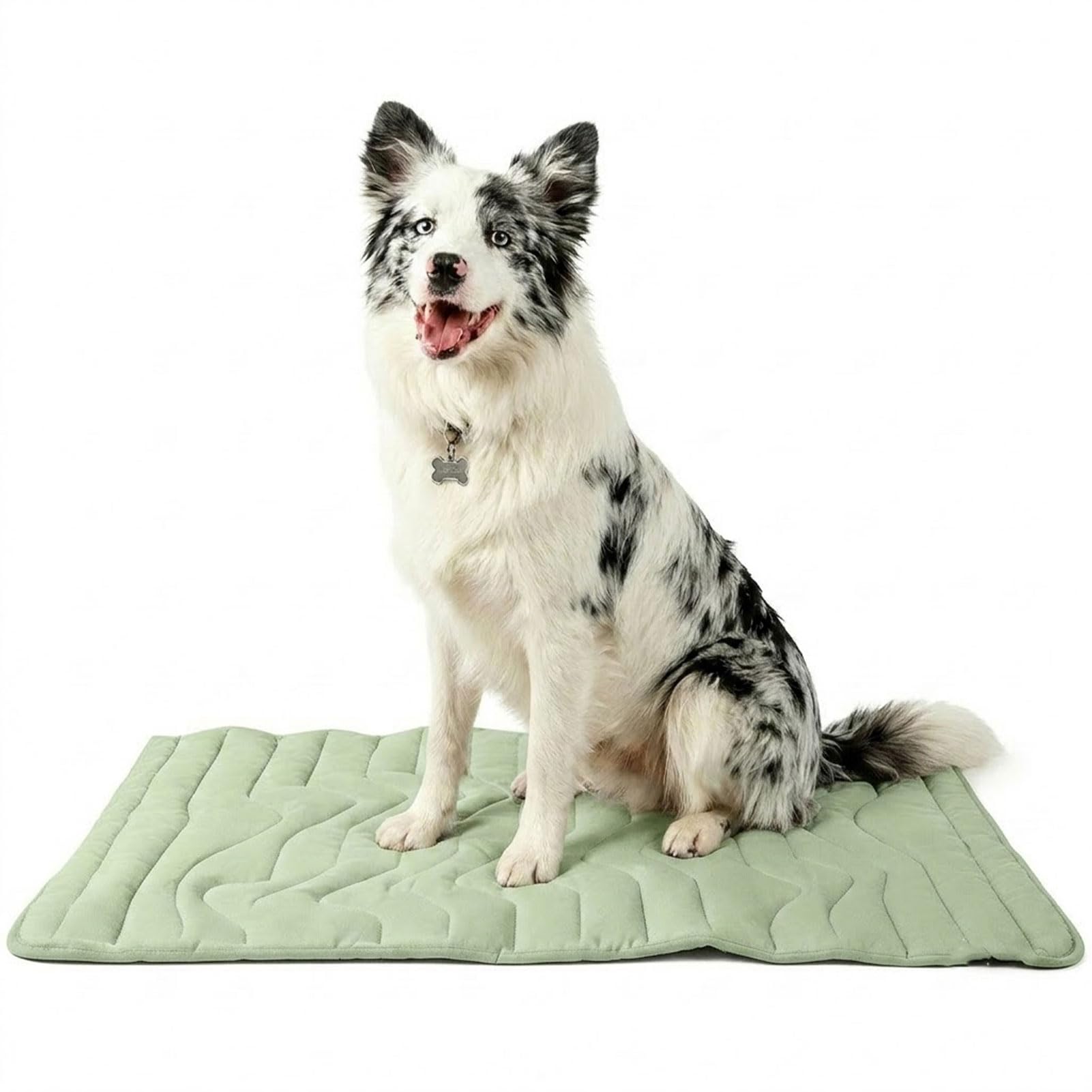 Generisch PfotenChill Kühlmatte Hund Waschbar - Physische Eisseide Hundedecke für Sommer, Auto & Körbe | Softes Kühlpad Ohne Gel | Leichte Atmungsaktive Hundekissen Sommerdecke (L,Hellgrün)