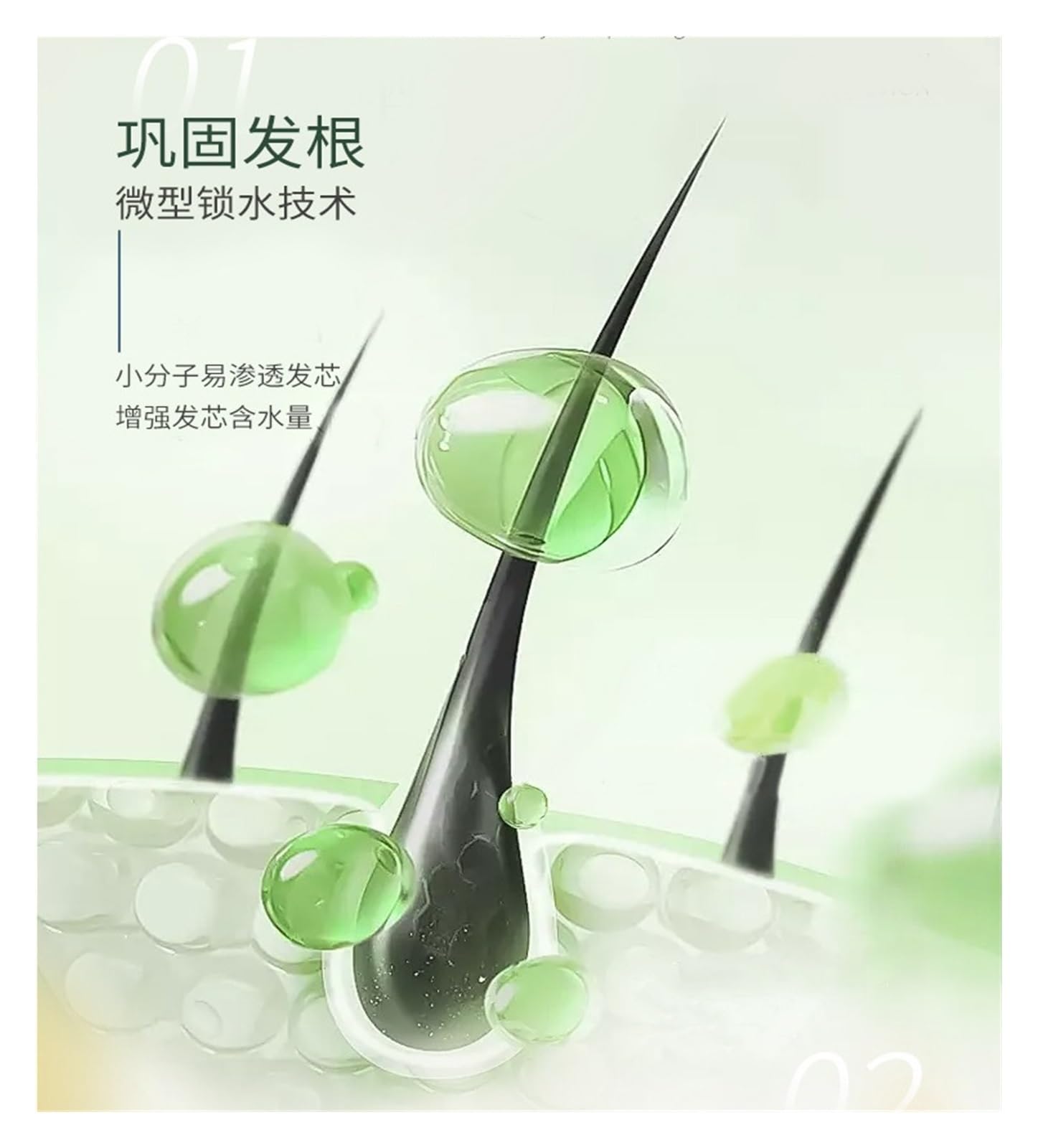 Champú for controlar la grasa | Mejora la caspa y proporciona una sensación refrescante y confortable.(1pcs)