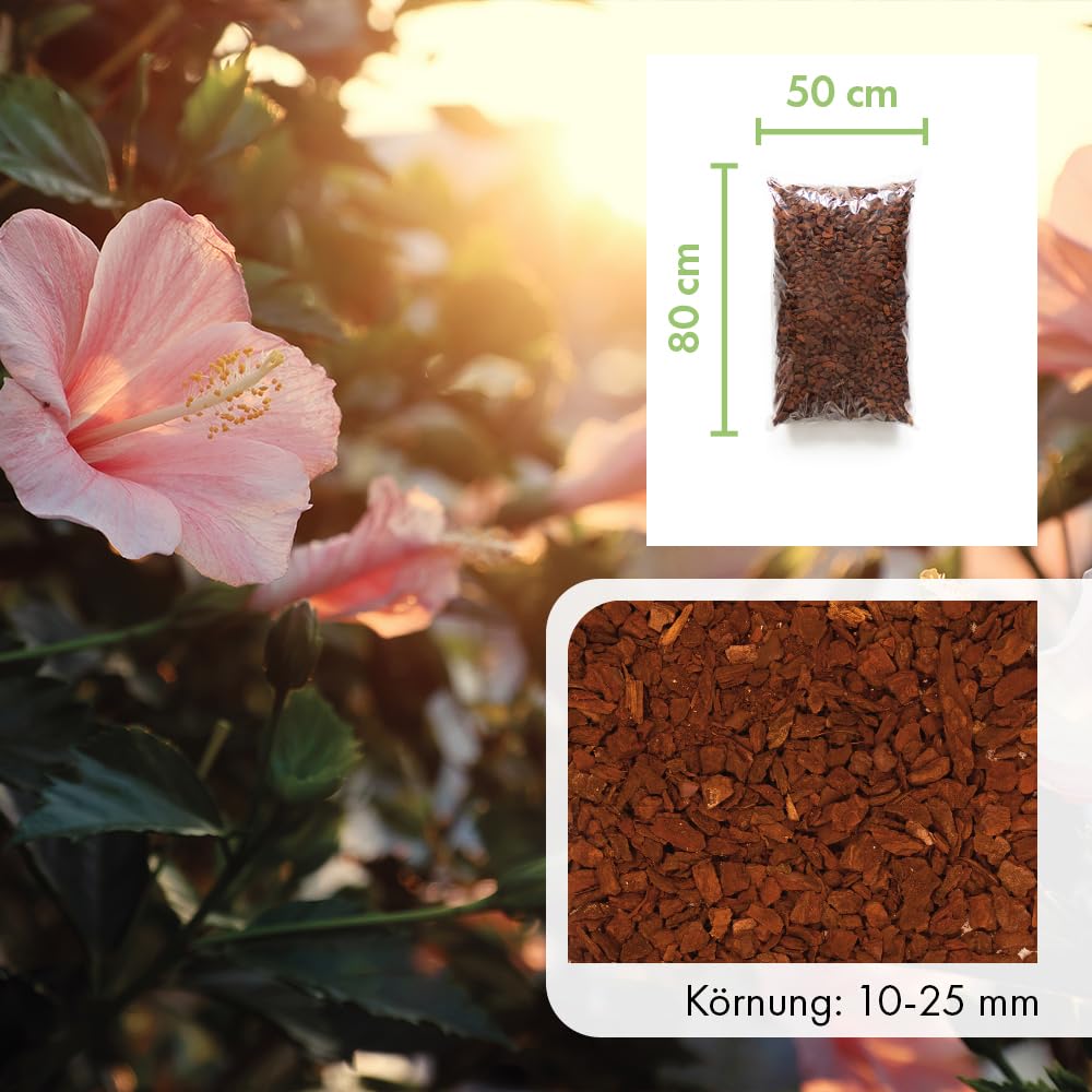 Terra Discount Premium Pinie 600 Liter | fein, mittel, grob oder extra grob | Pinienrinde: Der besondere Rindenmulch | Pinienborke als dekorativer Bodenbelag (grob (Körnung 10-25 mm))