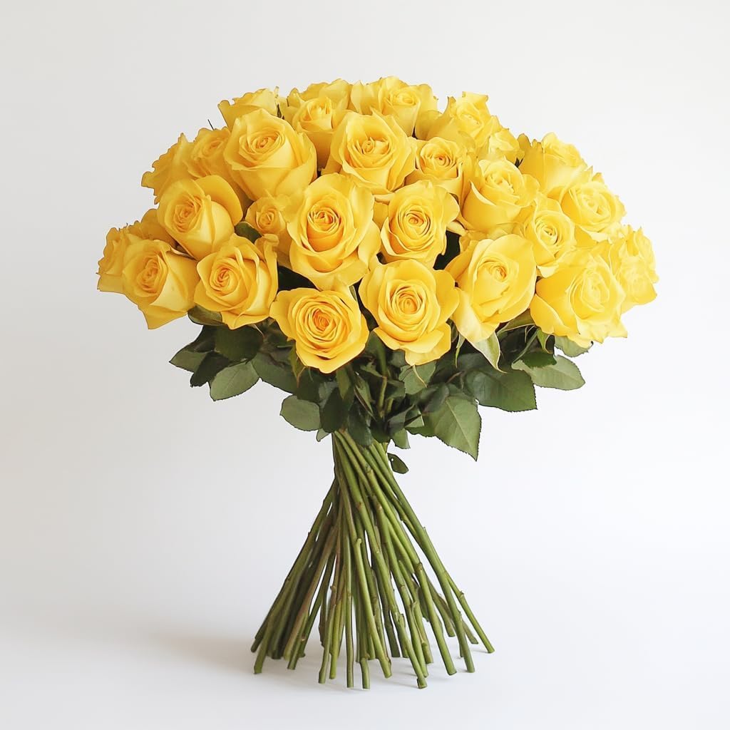 IFG's Beautiful Bouquet of YellowRoses, 30 pcs Fresh Flowers - Same Day Delivery-picture-14