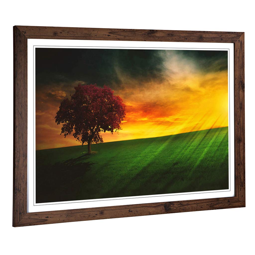 Big Box Art Framed Print of Landscape Brazil Sunset and Tree Design | Wall Art Picture | Home Decor for Kitchen, Living Room, Bedroom, Hallway, Walnut, A2 / 24.5x18 Inch / 62x45cm