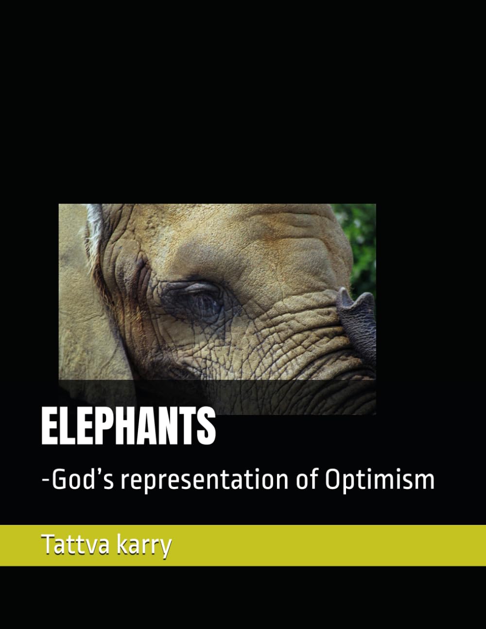 ELEPHANTS: -God’s representation of Optimism