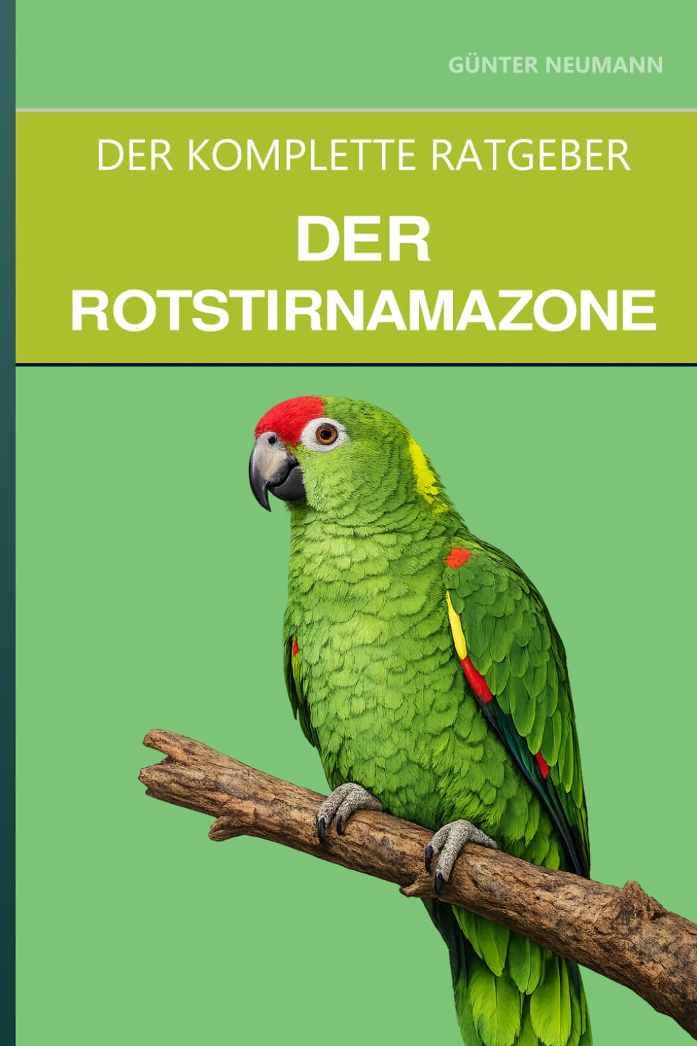 Die Rotstirnamazone: Ein vollständiger Leitfaden für Pflege, familienfreundliches Temperament und den sanften Amazonas
