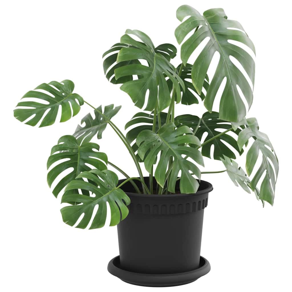 Blumentöpfe Set 24 Stück Schwarz, Kunststoff Pflanzgefäß Kübel mit gerolltem Rand und Entwässerungslöchern für Balkon, Terrasse, Fensterbank, Indoor und Outdoor 15 x 15 x 12 cm