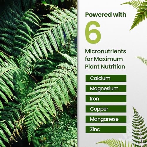 Fertilizante Líquido 16oz para Helechos Vivos miniatura 4