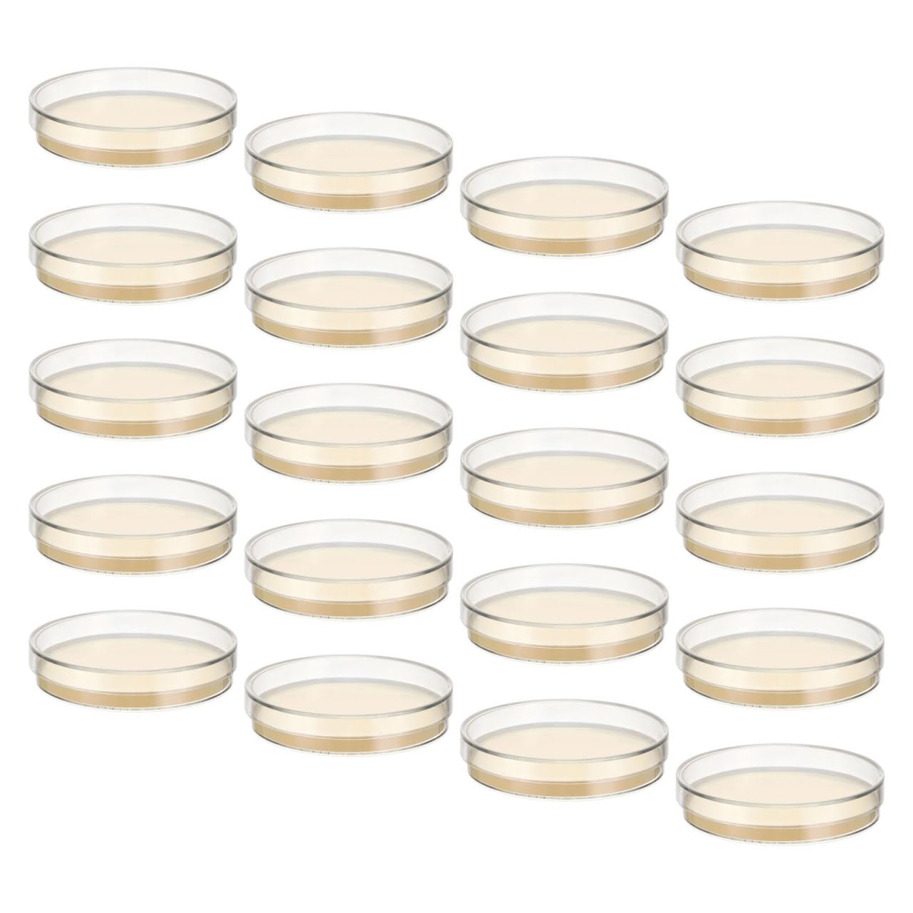 30 Szt. Szt Sterylnych Plastikowych Naczyń Petriego z Gotowym Odżywczym Agarem Do Eksperymentów Mikrobiologicznych Kit Do Hodowli Próbek dla Studentów i Laboratoriów