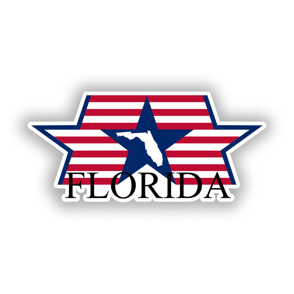 Destinationvinyl Multi 2 X 10Cm/100Mm Florida Vinyl Stickers Travel Luggage #10535