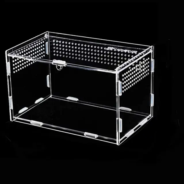 Mini Terrarium: Acrylic Transparent Transport Box for Reptiles & Insects