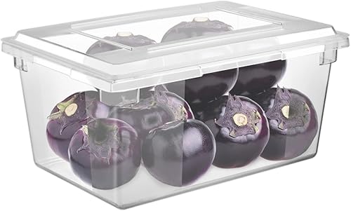 CURTA Paquete de 4 cajas de almacenamiento de alimentos con tapa, 8.5 galones, contenedor de policarbonato transparente de 26 x 18 x 6 pulgadas,