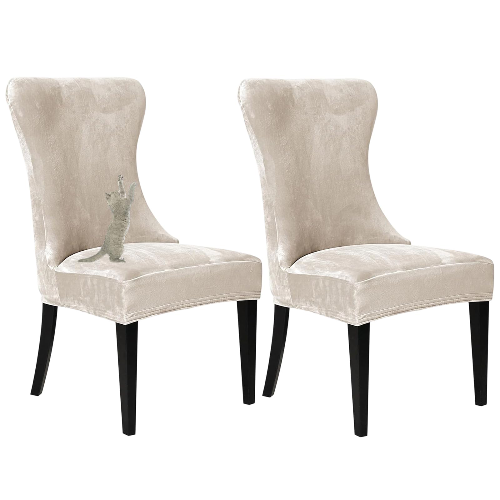 Housses de chaises salle à manger extensibles velours lot de 2 rénovation