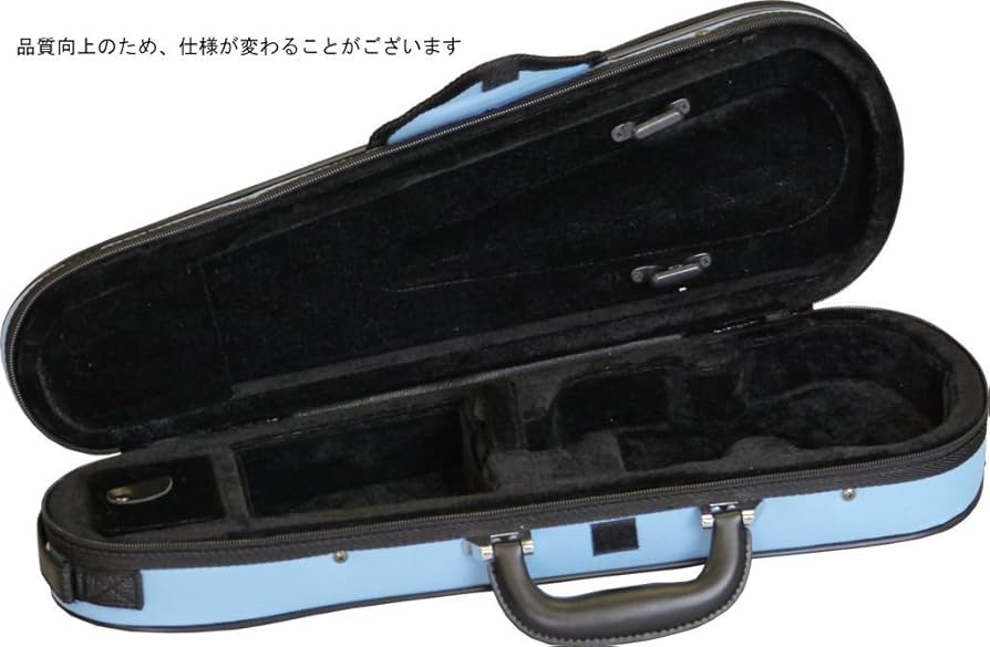 2023年購入　バイオリン　 1/2サイズ 　カルロジョルダーノ　ケース付　！ Carlo giordano VS-1 1/2 バイオリンセット カルロジョルダーノ