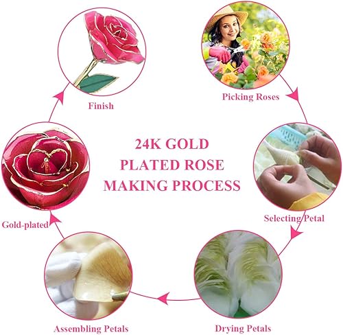 Vista 5 de ZJchao - Soporte de exhibición de rosa de tallo largo de 24 quilates