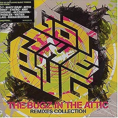 Got The Bug - Remixes Collection