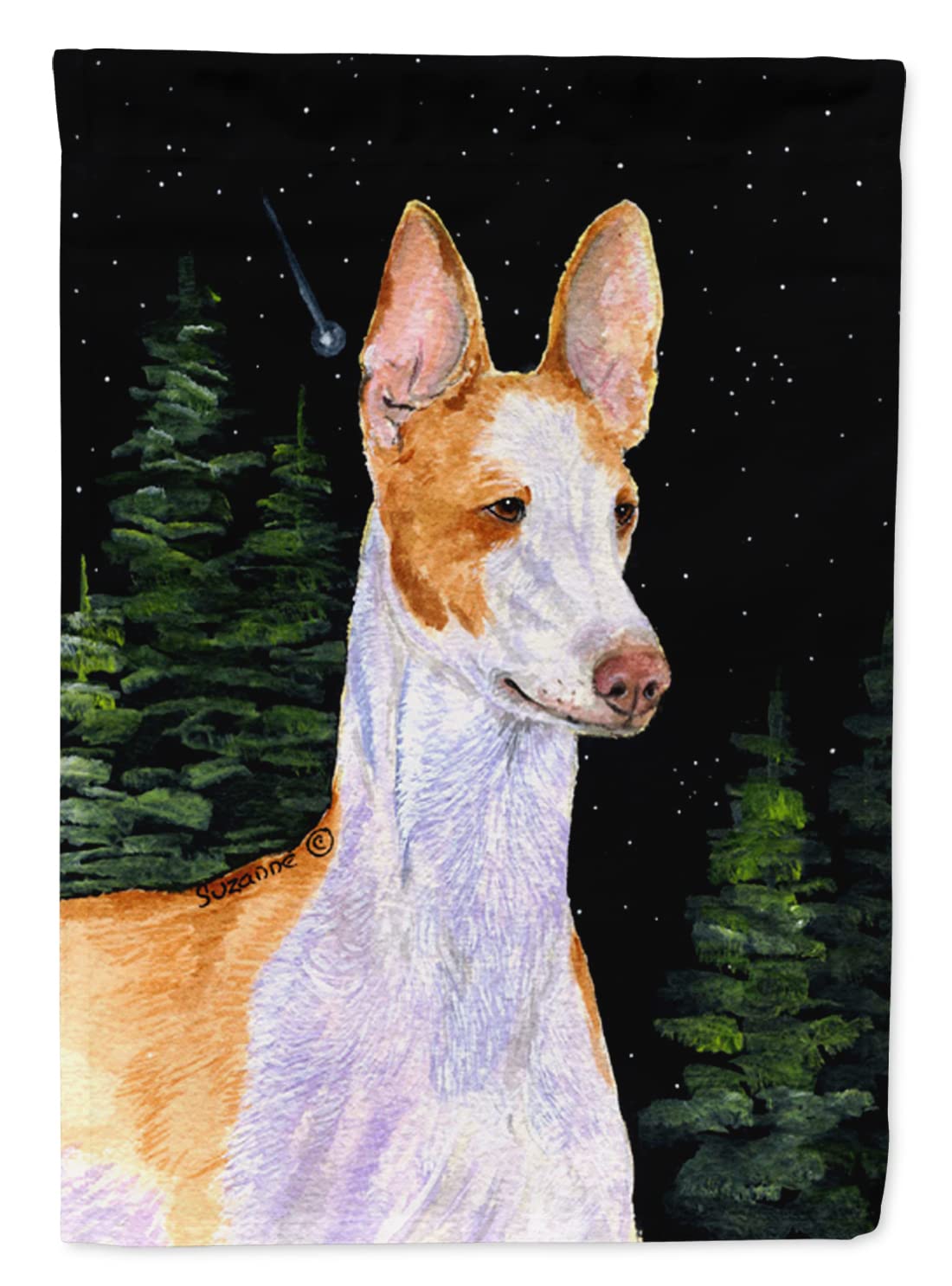 Grand drapeau Ibizan Hound Starry Night en toile de canevas supérieure