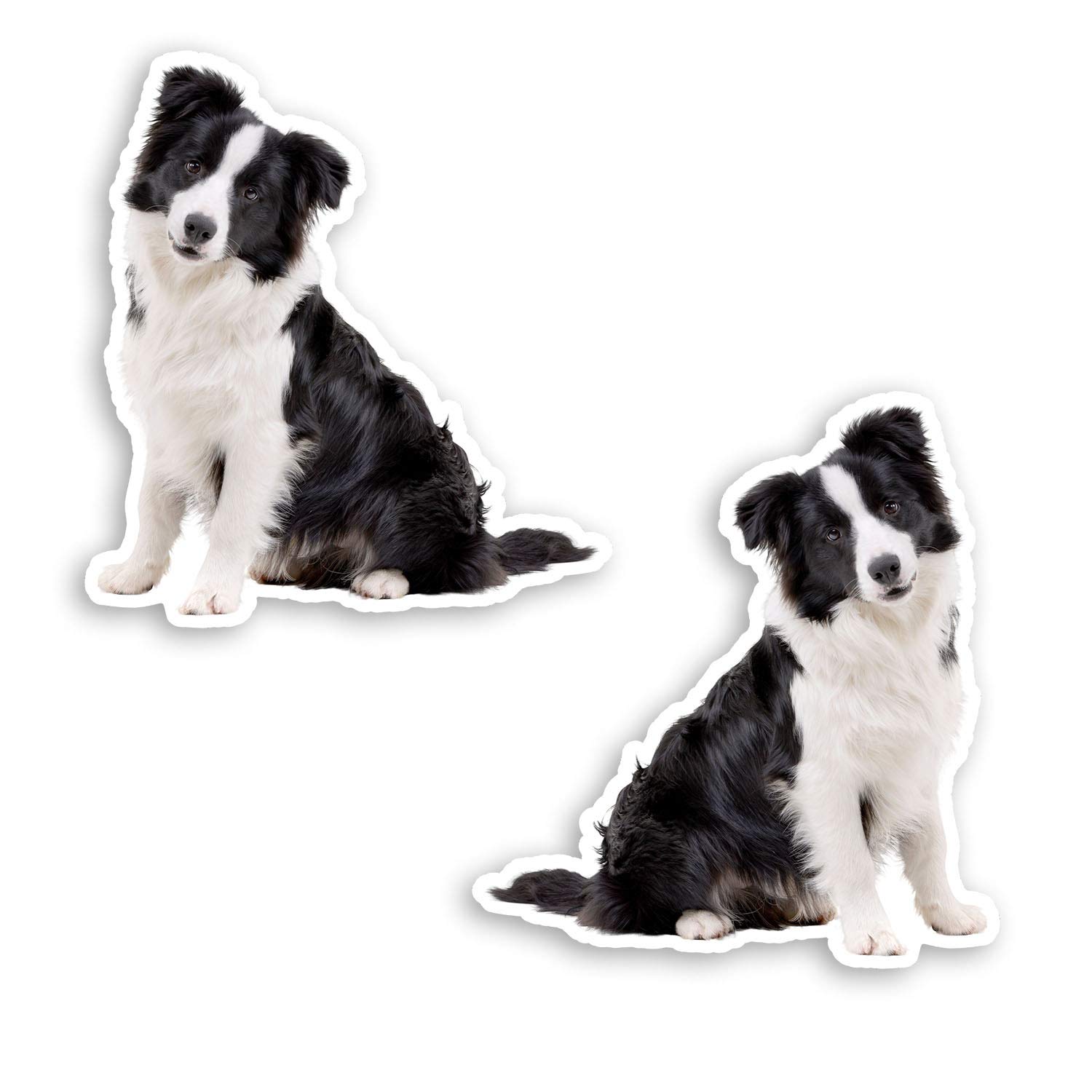 Destination Vinyl Ltd Multi 2 X 10Cm Border Collie Puppy Vinyl Stickers - Dog Sticker Luggage Laptop #20696 (10Cm Tall)
