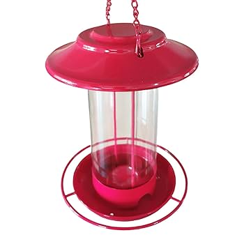 ハミングバード　ベルトサービス1本 Amazon.co.jp: ハミングバード: ミュージック