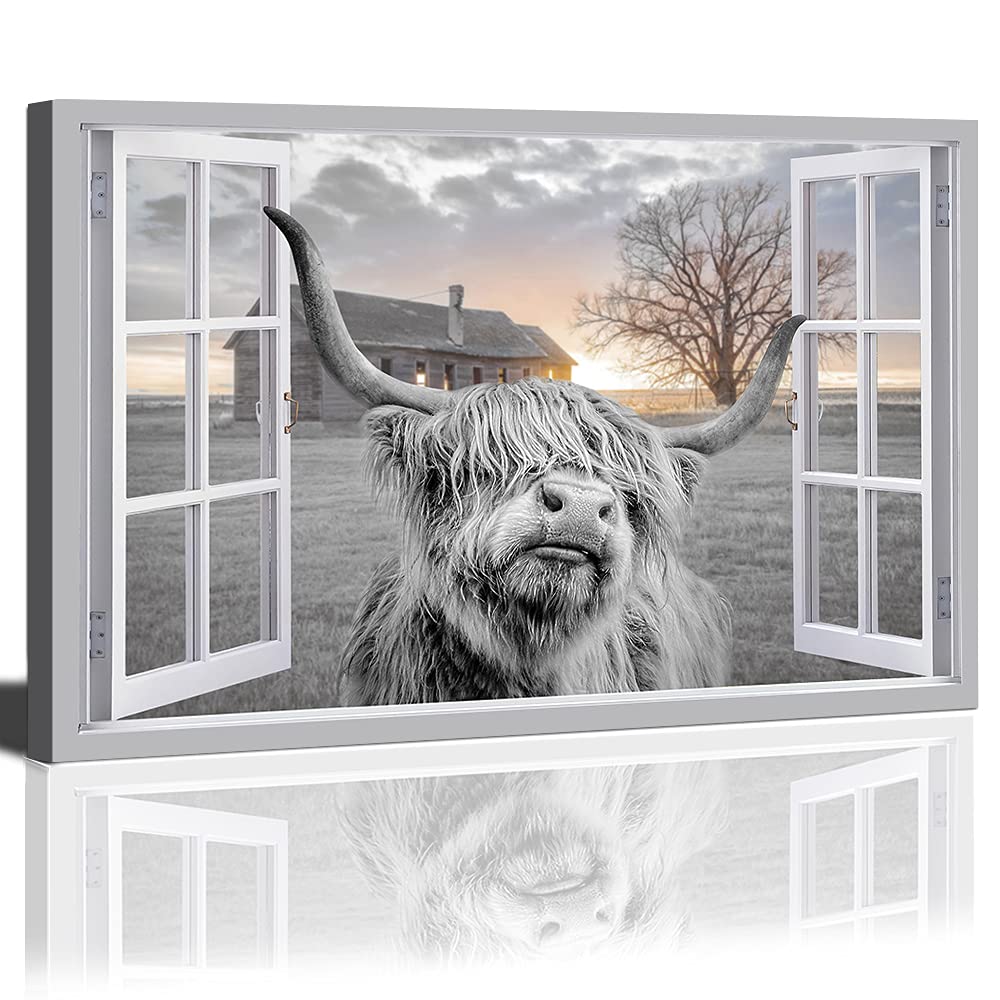 Highland Cattle Canvas Print Wall Art - Highland Cow Pictures Painting for Living Room 24X36 inch Artwork Its Head into an Open Window for Home Decor
