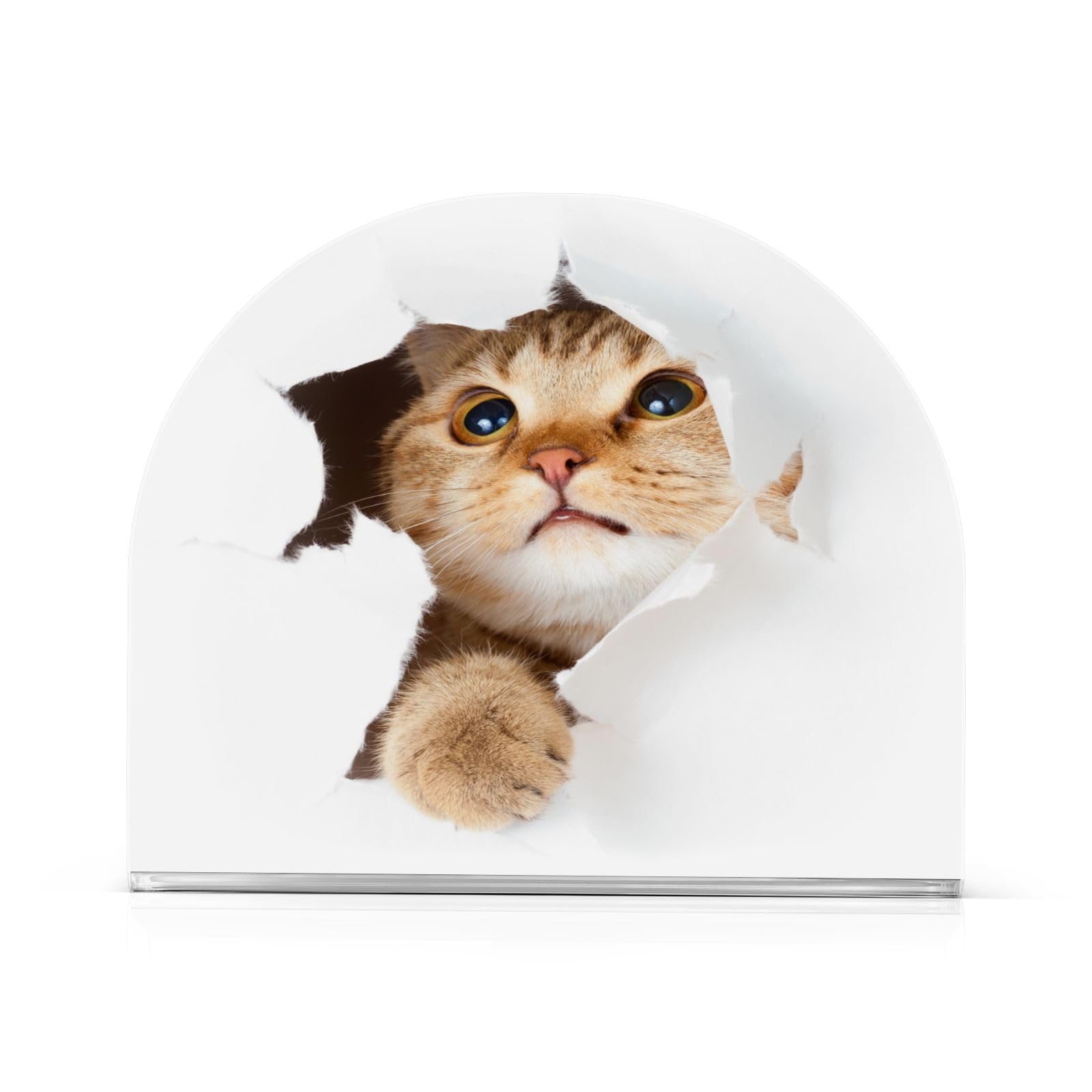 20 tovaglioli a forma di gatto di Natale come decorazione da tavolo per gli amanti dei gatti per Natale, 33 x 33 cm